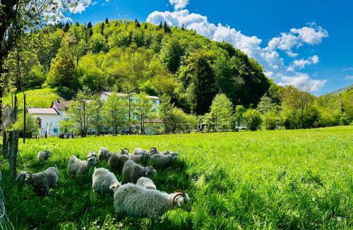 Fougax-et-Barrineuf Bed & Breakfast | Les Contes