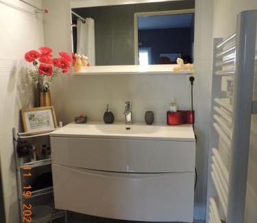 Vern-sur-Seiche Bed & Breakfast | Les Coquelicots Chambre d' hote avec grand lit et salle d'eau privative pour une persone ou un couple