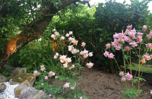 Nibas House | les coquelicots