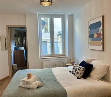 Saint-Pierre - Rene II - Bonsecours Apartment | Les Cosy de Nancy - Le repère du roi stanislas 4étoiles