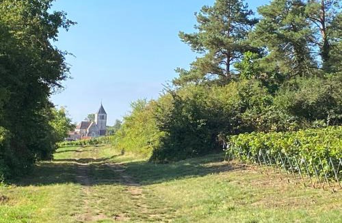 Bouix House | les Crescentines