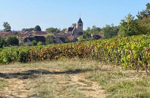 Bouix House | les Crescentines