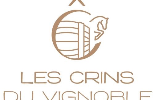 Loches-sur-Ource House | Les crins du vignoble