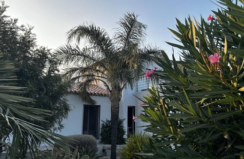 Ponteilla House | Les Cycas - PONTEILLA