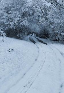 Le Mesnil-Germain House | Les Délices de la Vie