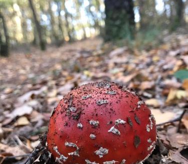 Le Mesnil-Germain House | Les Délices de la Vie