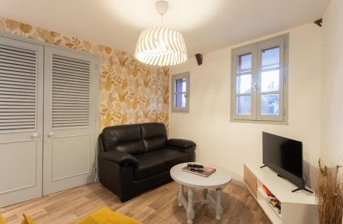 Salies-de-Bearn Apartment | Les dames de Salies