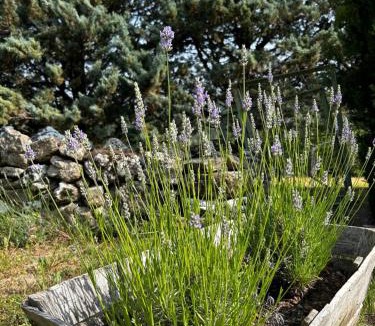 Niozelles House | Les Demeures du Clos