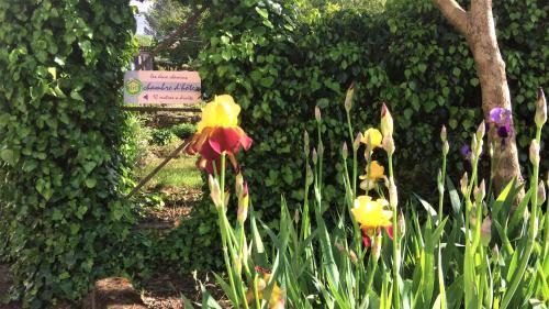 Mons House | Les deux chemins