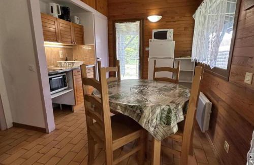 Brocas House | Les droséras