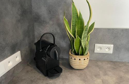 Duppigheim Apartment | Les Duplex Solaires