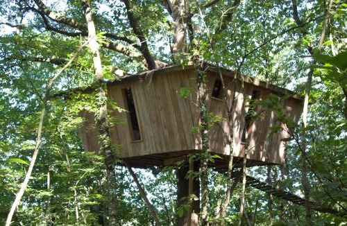 Force Other | Les Ecolodges de l'Orbière