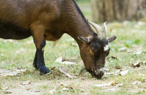 Force Other | Les Ecolodges de l'Orbière