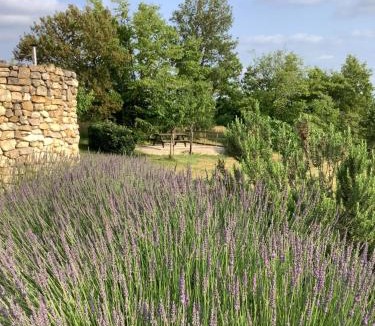 Cales Bed & Breakfast | Les Etoiles de Calès - chambres d'hôtes de charme près de Rocamadour
