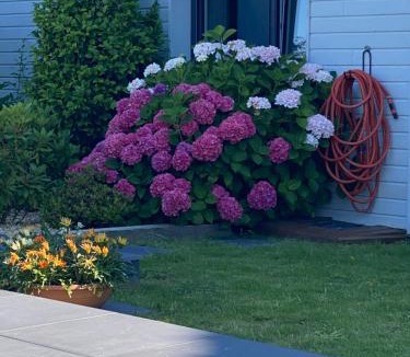 La Baule-Escoublac Bed & Breakfast | LES EVENS La Baule