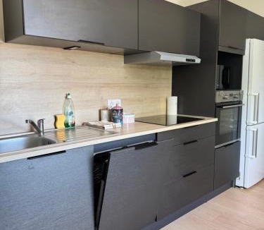 Paroisse Saint-Vincent-de-Paul Apartment | Les Fenêtres du Parc