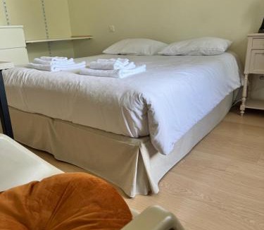 Paroisse Saint-Vincent-de-Paul Apartment | Les Fenêtres du Parc