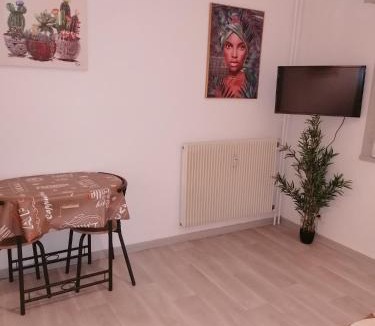 La Tour-du-Pin Apartment | Les Floralies