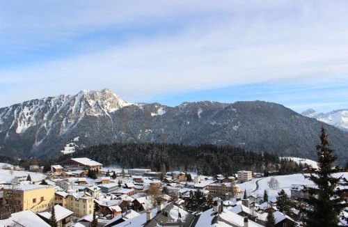 Leysin Apartment | Les Frênes