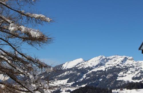 Leysin Apartment | Les Frênes