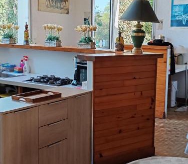 Saint-Pol-de-Leon Apartment | Les Fromentines