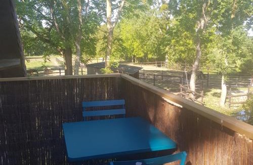 Moult Apartment | Les gîtes équestre de ninon