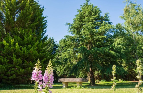 Fleurines Condo | Les Gîtes D'Halatte