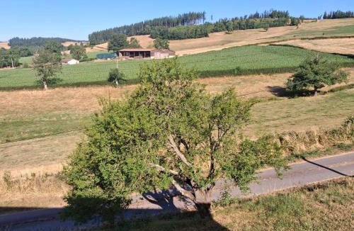 Dompierre-les-Ormes House | Les Gîtes de Sophinette