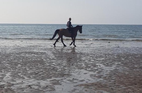 Moult House | Les gîtes de ninon