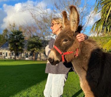 Saint-Gatien-des-Bois House | Les Gites de Claire