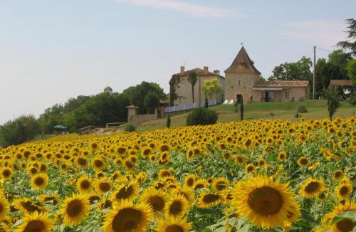 Castera-Lectourois House | Les gites de Peyrouton: le Pigeonnier et la Borde