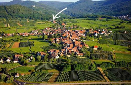 Mittelbergheim Apartment | Les Gites du Holzweg