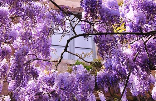 Vezelay Hotel | Les Glycines Vézelay