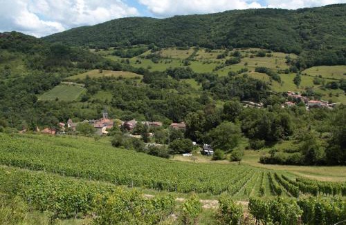 L'Abergement-de-Varey House | Les Granges de la Forêt
