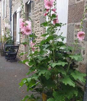 Saint-Vaast-la-Hougue House | Les Gravelots