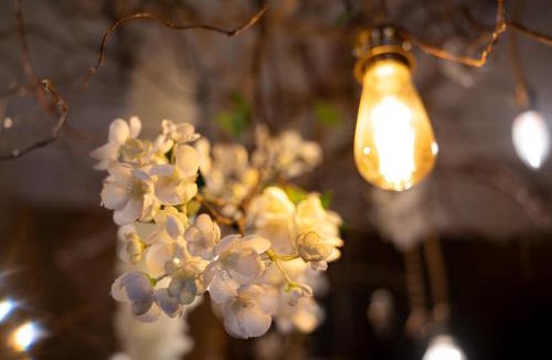 Ceron Bed & Breakfast | Les hauts des Soussilanges