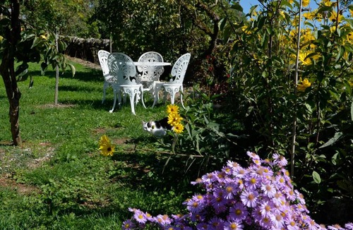 Mondalazac Bed & Breakfast | LES HAUTS DU CAUSSE
