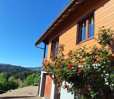 Fellering Ski Chalet | Les hauts du Schliffels