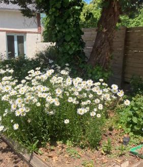 Brecey House | Les Hirondelles Gite 1