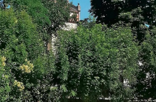 Castelsarrasin House | Les Hirondelles - domaine avec piscine