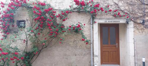 Bourbonne-les-Bains Apartment | Les Hortensias studio Rez de chaussée