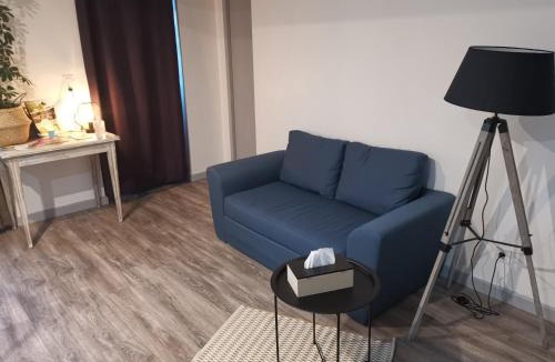 Lassay-les-Chateaux Apartment | Les Hortensias