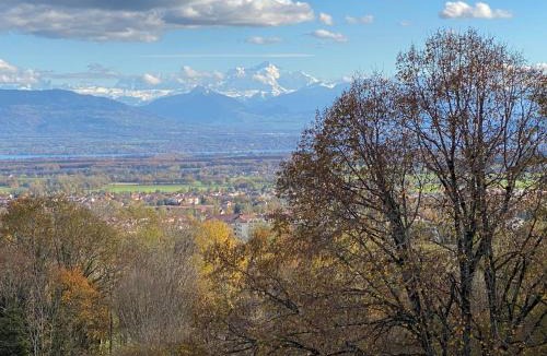 Gex Apartment | Les Hutins