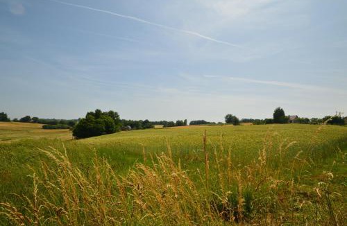 Savignac-Ledrier House | Les Hydrangeas - classé 3 étoiles meuble de tourisme