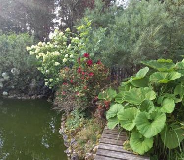 Watronville House | Les Insolites