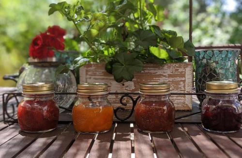 Garrigues-Sainte-Eulalie Bed & Breakfast | Les Jardins d'Holi proche Uzès