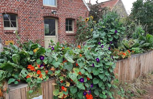 Wandignies-Hamage House | Les Jardins d'Olus