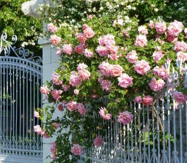 La Roche-Rigault House | Les jardins de Claunay