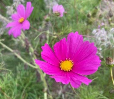 Saint-Laurent-sur-Mer Bed & Breakfast | Les Jardins de L'écume