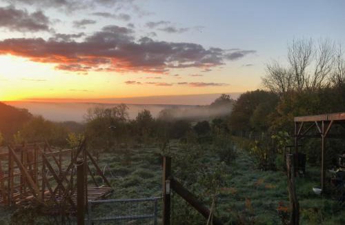 Beaufour-Druval Bed & Breakfast | Les Jardins Vert Framboise yourte et chambres d'hôtes